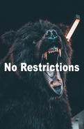 2. No Restrictions - Andre Tan Bear Model