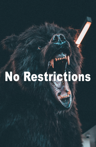 2. No Restrictions - Andre Tan Bear Model