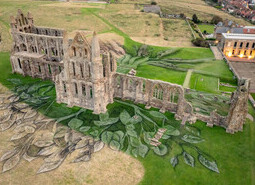 Heritage Tree, Whitby Abbey - Aerial Views