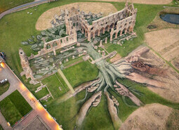 Heritage Tree, Whitby Abbey - Aerial Views
