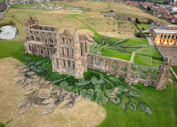 Heritage Tree, Whitby Abbey - Aerial Views