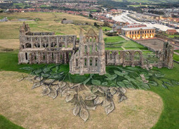 Heritage Tree, Whitby Abbey - Aerial Views