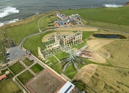 Heritage Tree, Whitby Abbey - Aerial Views
