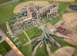 Heritage Tree, Whitby Abbey - Aerial Views