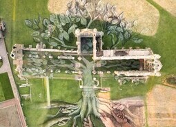 Heritage Tree, Whitby Abbey - Aerial Views