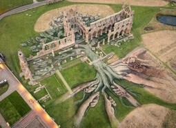 Aerial Views of Heritage Tree