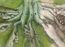 Aerial Views of Heritage Tree