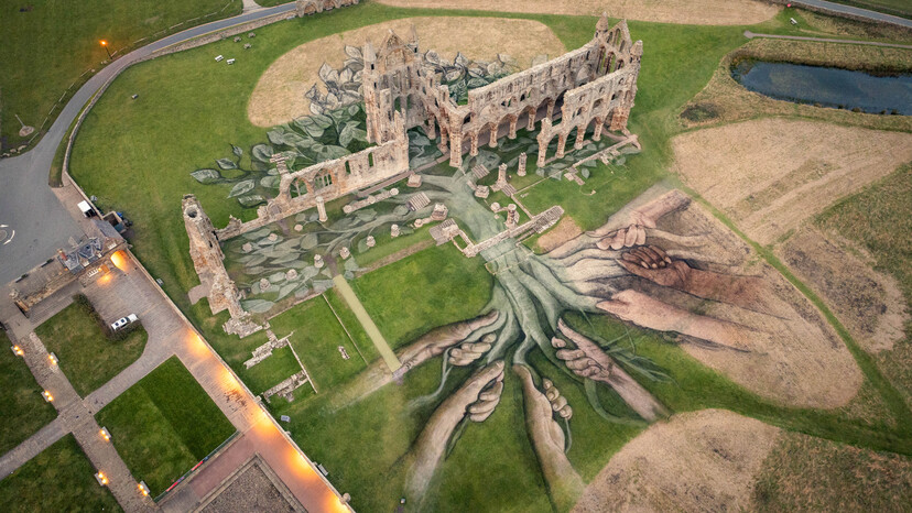 Aerial Views of Heritage Tree