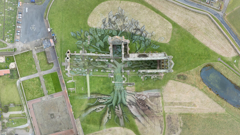 Aerial Views of Heritage Tree