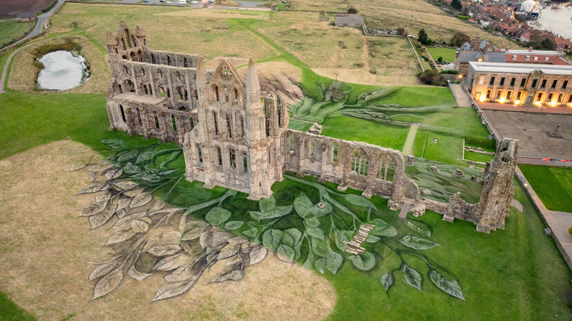 Heritage Tree, Whitby Abbey - Aerial Views