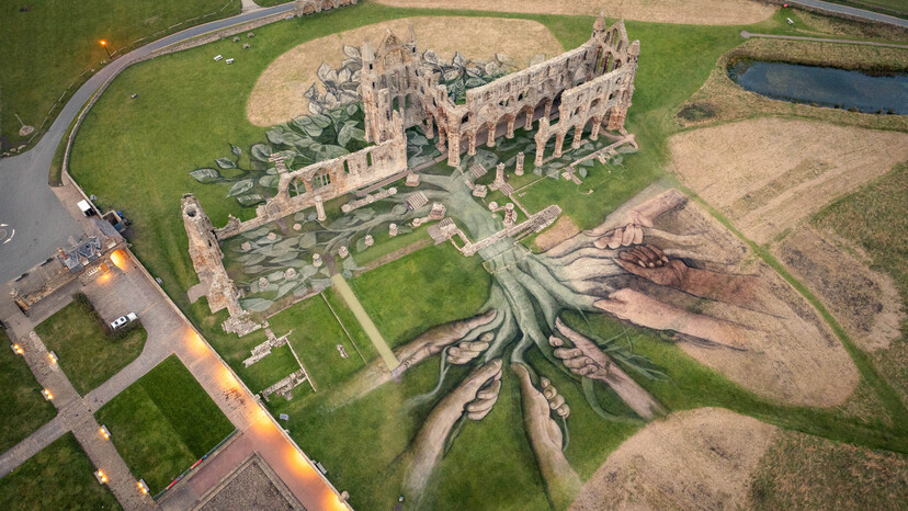 Heritage Tree, Whitby Abbey - Aerial Views