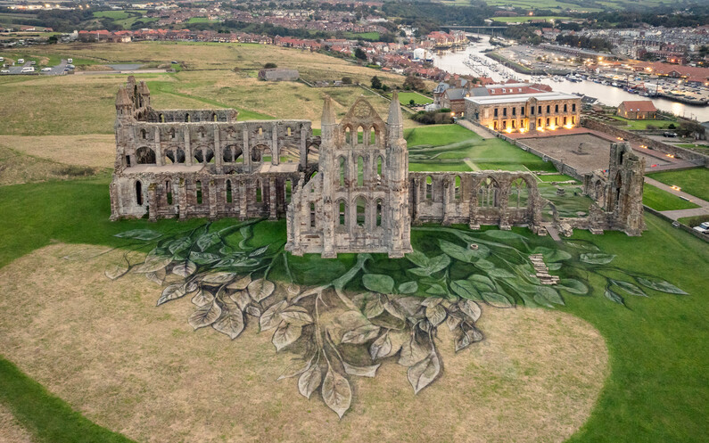 Heritage Tree, Whitby Abbey - Aerial Views