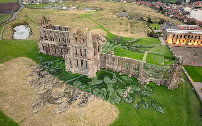 Heritage Tree, Whitby Abbey - Aerial Views