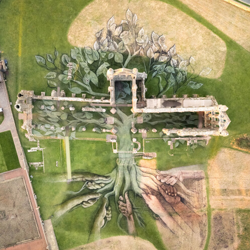 Heritage Tree, Whitby Abbey - Aerial Views