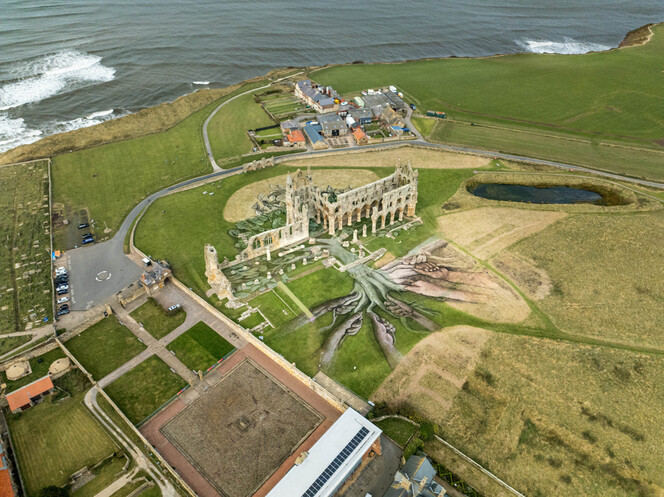 Heritage Tree, Whitby Abbey - Aerial Views