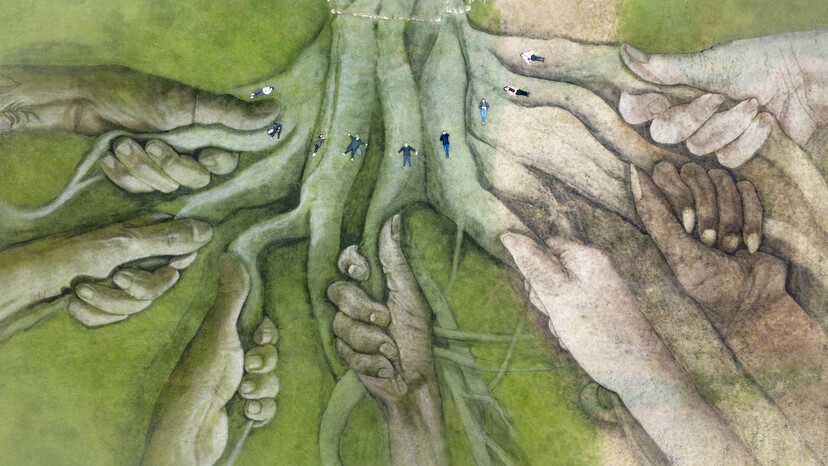 Aerial Views of Heritage Tree